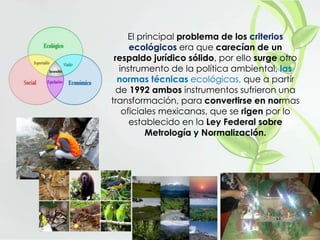El principal problema de los criterios
ecológicos era que carecían de un
respaldo jurídico sólido, por ello surge otro
instrumento de la política ambiental, las
normas técnicas ecológicas, que a partir
de 1992 ambos instrumentos sufrieron una
transformación, para convertirse en normas
oficiales mexicanas, que se rigen por lo
establecido en la Ley Federal sobre
Metrología y Normalización.
 