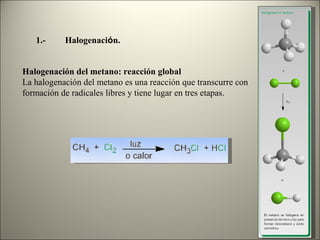 Halogenacion Alcanos - QUIMICA ÓRGANICA | PDF