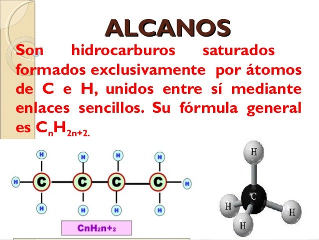 Propiedades Físicas y Químicas de los Alcanos
