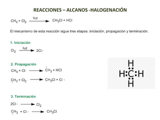 Halogenacion Caracteristicas y reacciones de los Alcanos | PDF