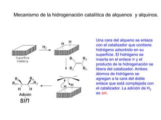 Caracteristicas y reacciones de los Alcanos | PDF