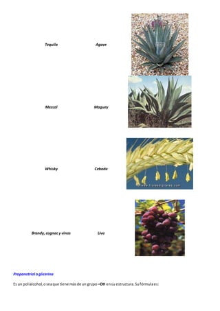 Tequila Agave 
Mezcal Maguey 
Whisky Cebada 
Brandy, cognac y vinos Uva 
Propanotriol o glicerina 
Es un polialcohol, o sea que tiene más de un grupo –OH en su estructura. Su fórmula es: 
 