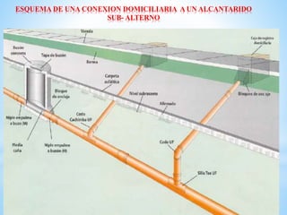 ESQUEMA DE UNA CONEXION DOMICILIARIA A UN ALCANTARIDO
SUB- ALTERNO
 