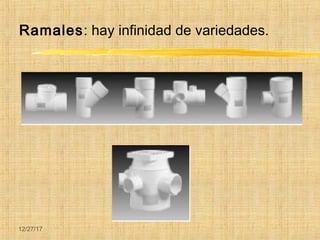 12/27/17
Ramales: hay infinidad de variedades.
 