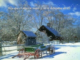 Deja que el amor te toque  y no te defiendas de él.  