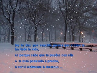 No  te  des  por  vencido, piensa que si Dios te ha dado la vida,  es porque sabe que tú puedes con ella  o  te está poniendo a prueba,  a ver si realmente la mereces   ... 