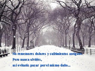 No rememores dolores y sufrimientos antiguos. Pero nunca olvides,  así evitarás pasar  por el mismo daño...  