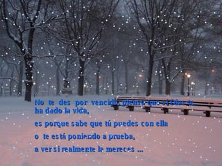 No  te  des  por  vencido, piensa que si Dios te ha dado la vida,  es porque sabe que tú puedes con ella  o  te está poniendo a prueba,  a ver si realmente la mereces   ... 