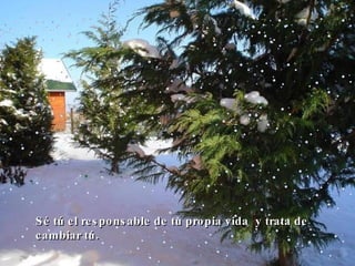 Sé tú el responsable de tu propia vida  y trata de cambiar tú. 