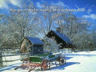 Deja que el amor te toque  y no te defiendas de él.  