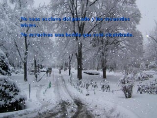 No seas esclavo del pasado y los recuerdos tristes.  No revuelvas una herida que está cicatrizada.  