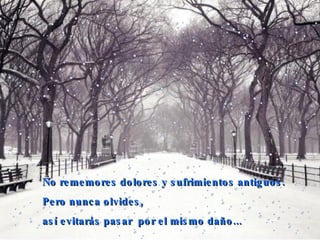 No rememores dolores y sufrimientos antiguos. Pero nunca olvides,  así evitarás pasar  por el mismo daño...  