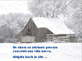 De ahora en adelante procura construir una vida nueva,  dirigida hacia lo alto  ... 