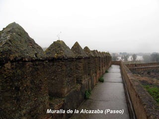 Muralla de la Alcazaba (Paseo) 