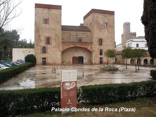 Palacio Condes de la Roca (Plaza) 