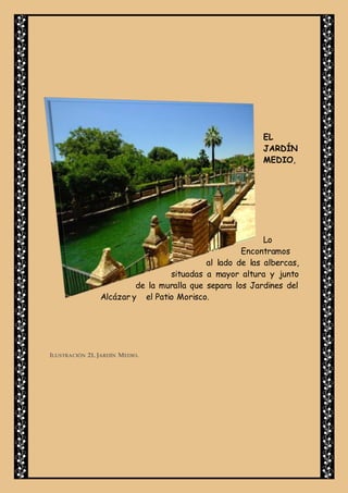 EL
JARDÍN
MEDIO,
Lo
Encontramos
al lado de las albercas,
situadas a mayor altura y junto
de la muralla que separa los Jardines del
Alcázar y el Patio Morisco.
ILUSTRACIÓN 21. JARDÍN MEDIO.
 