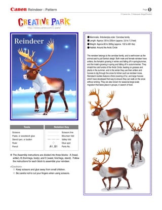 Reindeer : Pattern
The reindeer belongs to the cervidae family, and is well known as the
animal said to pull Santa's sleigh. Both male and female reindeer have
antlers, the female's growing in winter and falling off in spring/summer,
and the male's growing in spring and falling off in autumn/winter. They
inhabit the cold tundra of the Arctic Circle, feeding on grasses and
plants in the summer, and in the winter they use their antlers and
hooves to dig through the snow for lichen such as reindeer moss.
Reindeer's bodies feature a thick covering of fur, and large hooves
which have developed that way to ensure they can walk on the snow
without sinking. They are also known for seasonal large-scale
migration that takes place in groups, in search of food.
Page
Scissors
Paste, or woodwork glue
Stencil pen, or bodkin
Ruler
Pencil
Scissors line
Mountain fold
Valley fold
Glue spot
Parts No.
Notation KeyTools
The Assembly instructions are divided into three blocks: A (head,
antler), B (front legs, body), and C (waist, hind legs, stand). Follow
the instructions for each block to assemble your reindeer.
<Caution>
Keep scissors and glue away from small children.
Be careful not to cut your fingers when using scissors.
Mammalia Artiodactyla order Cervidae family
Length: Approx.120 to 220cm (approx. 3.9 to 7.2 feet)
Weight: Approx.60 to 300kg (approx. 132 to 661 lbs)
Habitat: Around the Arctic Circle
 