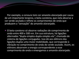 Por exemplo, a cenoura tem cor amarelo-alaranjada por causa
de um importante terpeno, o beta-caroteno, que nela absorve a
cor verde-azulada e reflete os comprimentos de onda que
produzem a “sensação” do amarelo-alaranjado.
 O beta-caroteno só absorve radiações de comprimento de
onda entre 400 e 500 nm. Em sua estrutura, há ligações
alternadas “dupla-simples-dupla-simples etc”, chamado de
sistema de ligações conjugadas. Isso dá aos elétrons das
ligações duplas uma maior mobilidade, que corresponde à
vibração no comprimento de onda do verde-azulado. Assim, os
elétrons absorvem a energia correspondente a esse
comprimento de onda e enxergamos o amarelo-alaranjado.
 