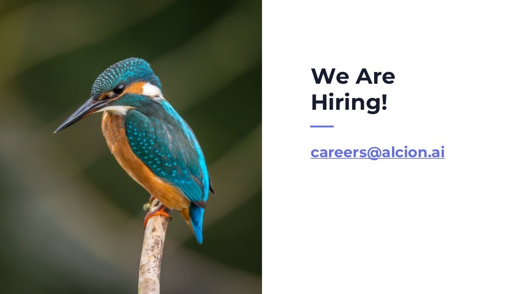 We Are
Hiring!
careers@alcion.ai
 