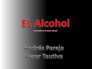 EL Alcohol y sus efectos en el cuerpo humano Andrés Pareja Cesar Tautiva 
