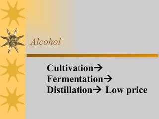 Alcohol Cultivation   Fermentation   Distillation   Low price 