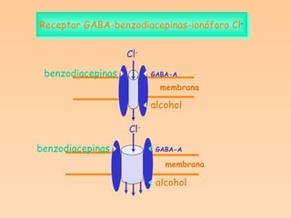 Receptor GABA-benzodiacepinas-ionóforo Cl -  GABA-A Cl -  alcohol benzodiacepinas  Cl - membrana membrana  GABA-A  alcohol benzodiacepinas  