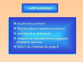 ACETALDEHÍDO    Acción tóxica directa    Efectos sobre el sistema circulatorio    Lentitud de su eliminación    Aumento de radicales libres oxigenados altamente reactivos    Déficit de vitaminas del grupo B 