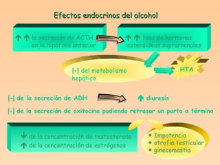 Efectos endocrinos del alcohol       la secreción de ACTH en la hipófisis anterior       tasa de hormonas esteroideas suprarrenales HTA [-]  del metabolismo hepático [-]  de la secreción de ADH    diuresis [-]  de la secreción de oxitocina pudiendo retrasar un parto a término    de la concentración de testosterona    de la concentración de estrógenos    Impotencia    atrofia testicular    ginecomastia 