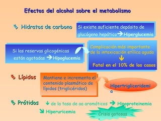 Efectos del alcohol sobre el metabolismo    Hidratos de carbono Si existe suficiente depósito de   glucógeno hepático  Hiperglucemia Si las reservas glicogénicas están agotadas   Hipoglucemia Complicación más importante de la intoxicación etílica aguda    Fatal en el 10% de los casos    Lípidos Mantiene e incrementa el  contenido plasmático de  lípidos (triglicéridos) Hipertrigliceridemia    Prótidos    de la tasa de aa aromáticos      Hipoproteinemia    Hiperuricemia  Crisis gotosas 
