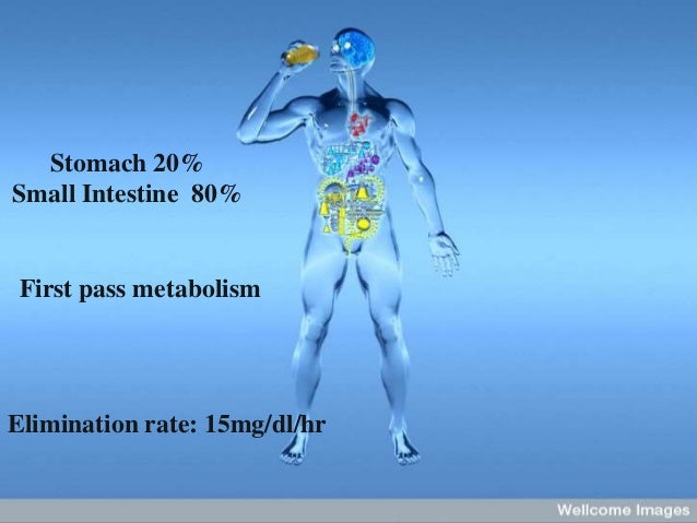 the excretion and elimination of toxicants and their metabolites Study flashcards on toxicology 3 at cramcom effects of some toxicants that are xenobiotic into new forms (metabolites)), excretion. the excretion and elimination of toxicants and their metabolites Study flashcards on toxicology 3 at cramcom effects of some toxicants that are xenobiotic into new forms (metabolites)), excretion.
