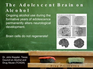 Alcohol And Adolescence What Every Educator Should Know | PPT