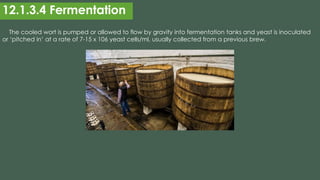 Alcohol-_Beer-production-1.pdf