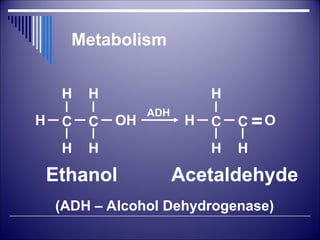 Metabolism
C
H OH
Ethanol
H
H
C
H
H
C
H
H
H
C O
H
=
Acetaldehyde
(ADH – Alcohol Dehydrogenase)
ADH
 