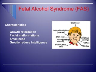 alcohol-class-100609103333-.phpapp01.ppt