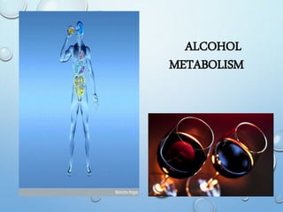 ALCOHOL
METABOLISM
 