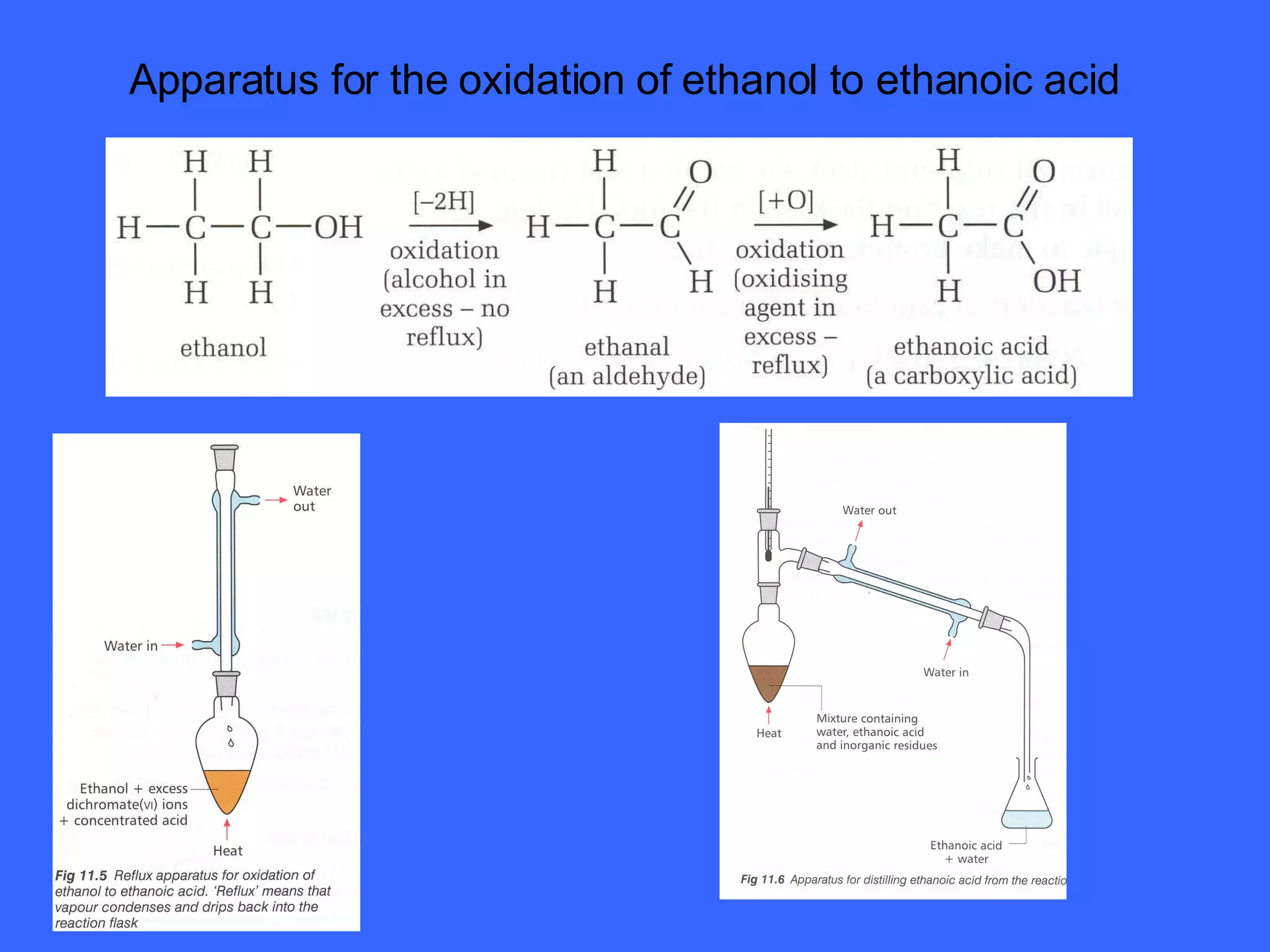 Apparatus for the oxidation of ethanol to ethanoic acid 