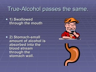 True-Alcohol passes the same. 1) Swallowed through the mouth 2) Stomach-small amount of alcohol is absorbed into the blood stream through the stomach wall. 