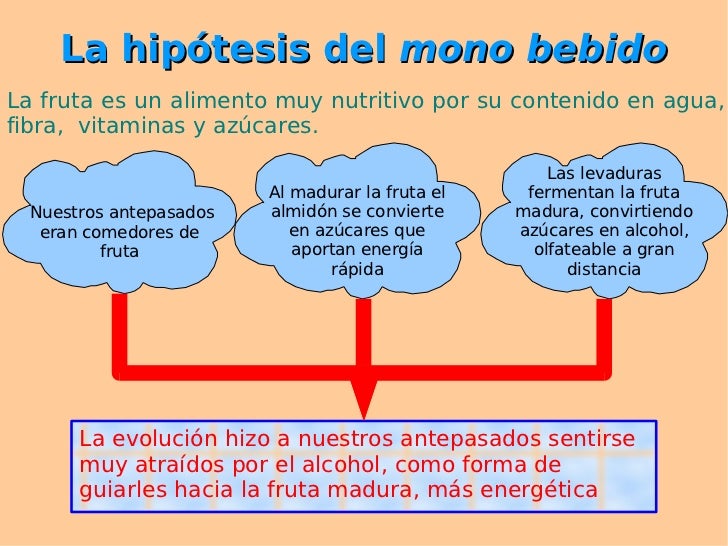 Nlp el tratamiento contra el alcoholismo