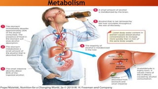 Metabolism
 