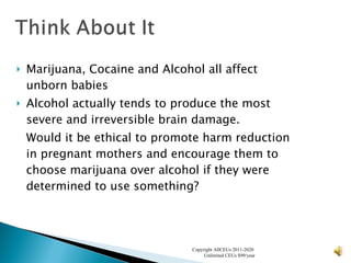 Marijuana, Cocaine and Alcohol all affect unborn babies Alcohol actually tends to produce the most severe and irreversible brain damage. Would it be ethical to promote harm reduction in pregnant mothers and encourage them to choose marijuana over alcohol if they were determined to use something? Copyright AllCEUs 2011-2020  Unlimited CEUs $99/year 