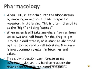 When THC, is absorbed into the bloodstream by smoking or eating, it binds to specific receptors in the brain.  This is often referred to as the "high" or being "stoned". When eaten it will take anywhere from an hour up to two and half hours for the drug to get into the blood stream, as it must be absorbed by the stomach and small intestine. Marijuana is most commonly eaten in brownies and cakes.  This slow ingestion can increase users overdose risks, as it is hard to regulate the dose absorbed into the blood stream. Copyright AllCEUs 2011-2020  Unlimited CEUs $99/year 