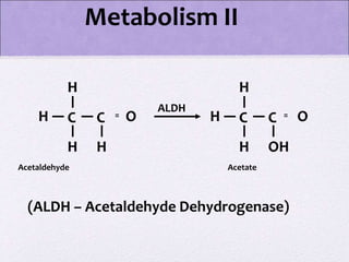 Metabolism II
C
H
H
H
C O
H
=
Acetaldehyde
(ALDH – Acetaldehyde Dehydrogenase)
ALDH
Acetate
C
H
H
H
C O
OH
=
 
