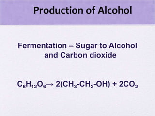 Production of Alcohol
Fermentation – Sugar to Alcohol
and Carbon dioxide
C6H12O6→ 2(CH3-CH2-OH) + 2CO2
 
