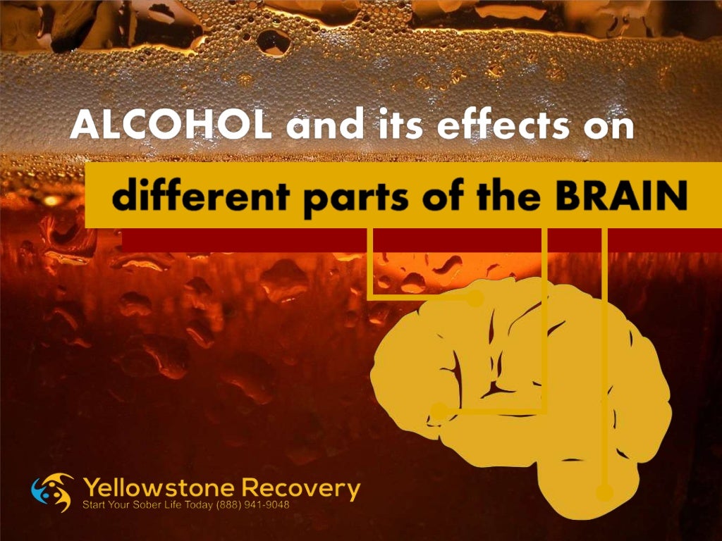 Alcohol and its effects on different parts of the brain