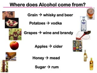 Where does Alcohol come from?

      Grain  whisky and beer

       Potatoes  vodka

     Grapes  wine and brandy


          Apples  cider


         Honey  mead

          Sugar  rum
 