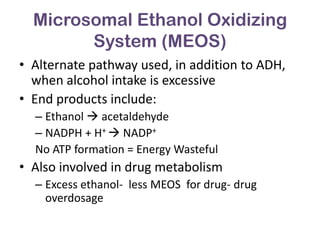 Microsomal Ethanol Oxidizing
        System (MEOS)
• Alternate pathway used, in addition to ADH,
  when alcohol intake is excessive
• End products include:
  – Ethanol  acetaldehyde
  – NADPH + H+  NADP+
  No ATP formation = Energy Wasteful
• Also involved in drug metabolism
  – Excess ethanol- less MEOS for drug- drug
    overdosage
 