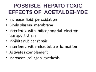POSSIBLE HEPATO TOXIC
 EFFECTS OF ACETALDEHYDE
• Increase lipid peroxidation
• Binds plasma membrane
• Interferes with mitochondrial electron
  transport chain
• Inhibits nuclear repair
• Interferes with microtubule formation
• Activates complement
• Increases collagen synthesis
 