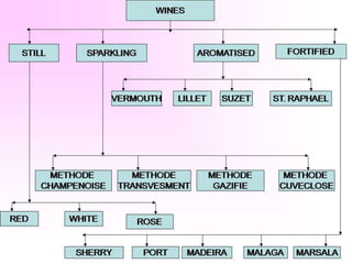 Alcohol classification | PPTX
