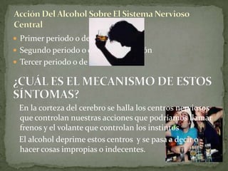  Primer periodo o de excitación
 Segundo periodo o de incoordinación
 Tercer periodo o de coma
En la corteza del cerebro se halla los centros nerviosos
que controlan nuestras acciones que podríamos llamar
frenos y el volante que controlan los instintos
El alcohol deprime estos centros y se pasa a decir o
hacer cosas impropias o indecentes.
 