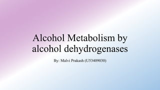 Alcohol Metabolism by
alcohol dehydrogenases
By: Malvi Prakash (U53409030)
 